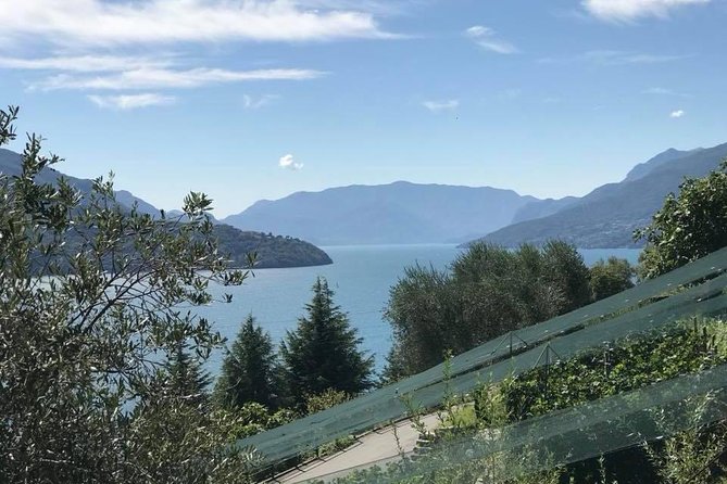 Domaso: Wine Tasting at the Winery on Como Lake - Why Domaso and this hilltop cellar make sense on Lake Como