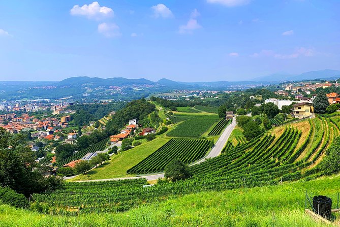 E-Bike Tour Lake Como and Swiss Vineyards - Lake Como by E-bike: the shortcut to views without the map headache