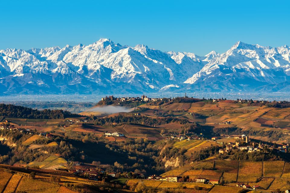 From Milan: Barolo Wine Tasting, Alba Tour and Castle Visit - Key highlights worth planning for
