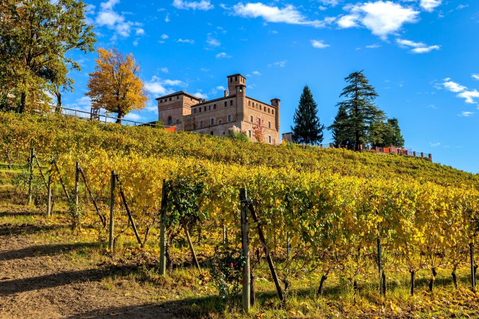 From Milan: Barolo Wine Tasting, Alba Tour and Castle Visit - UNESCO hill towns and the castle viewpoint: the scenery payoff