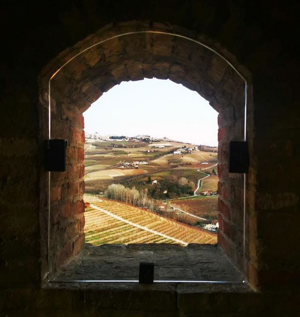 From Milan: Barolo Wine Tasting, Alba Tour and Castle Visit - Pacing, group vibe, and comfort on a 10-hour day