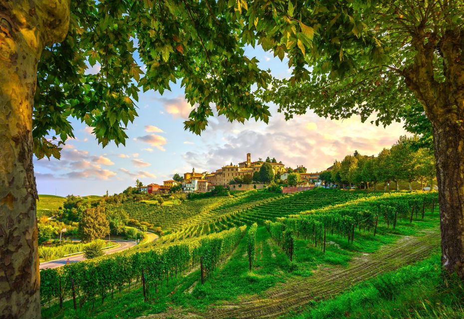 From Milan: Barolo Wine Tasting, Alba Tour and Castle Visit - Winery tasting in Barolo country: what you’ll taste and why it matters