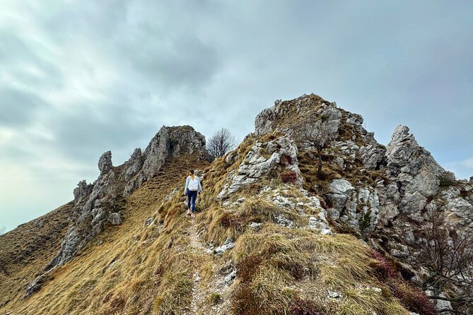 From Milan/Como/Varenna: Panoramic Hiking Tours near Lake Como - Meet your guide: what the real experience depends on