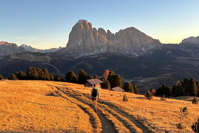 From Milan/Como/Varenna: Panoramic Hiking Tours near Lake Como - Logistics that matter on this kind of hike