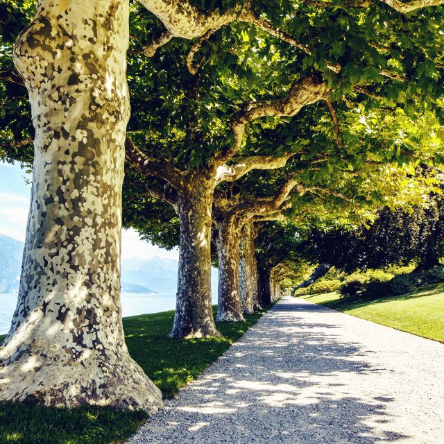 Lake Como: Lakeside Villas Entry Tickets with Ferries - Sample Timetables for June–October 2025: How to Pick Your Starting Town