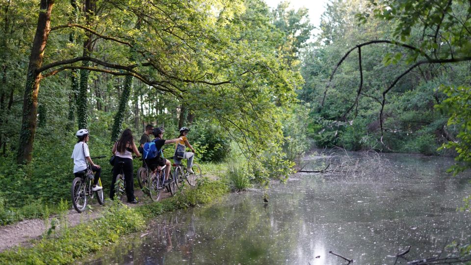 Milan: Bike Tour with Picnic on the turtle lake - Parco delle Cave: Photo Stops and a Full Hour of Sunset Time