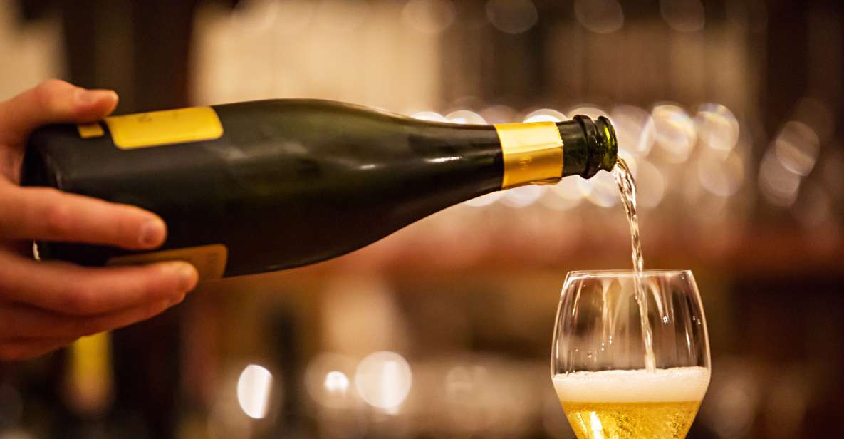 Milan: Wine Tasting Experience in the City Centre - The Food Pairing: Chef-Made Appetizers Plus Bread and Water