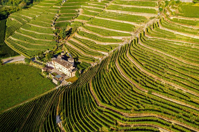 Private Lake Como Experience with Luca - Morbegno Lunch and the Valtellina Base: Why This Is More Than Lake Como