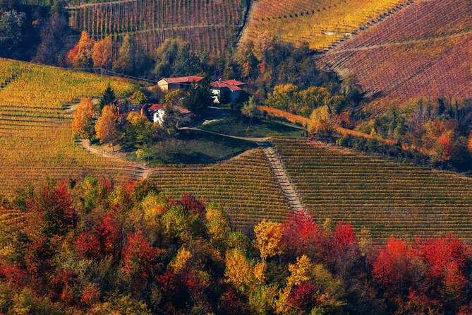 Small-Group Barolo Wine Tasting, Alba & UNESCO Piedmont Hills - Grinzane Cavour Castle Views and the Cavour Story Behind Barolo