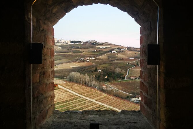 Small-Group Barolo Wine Tasting, Alba & UNESCO Piedmont Hills - Small Group Comfort: Why a Van Matters in the Langhe