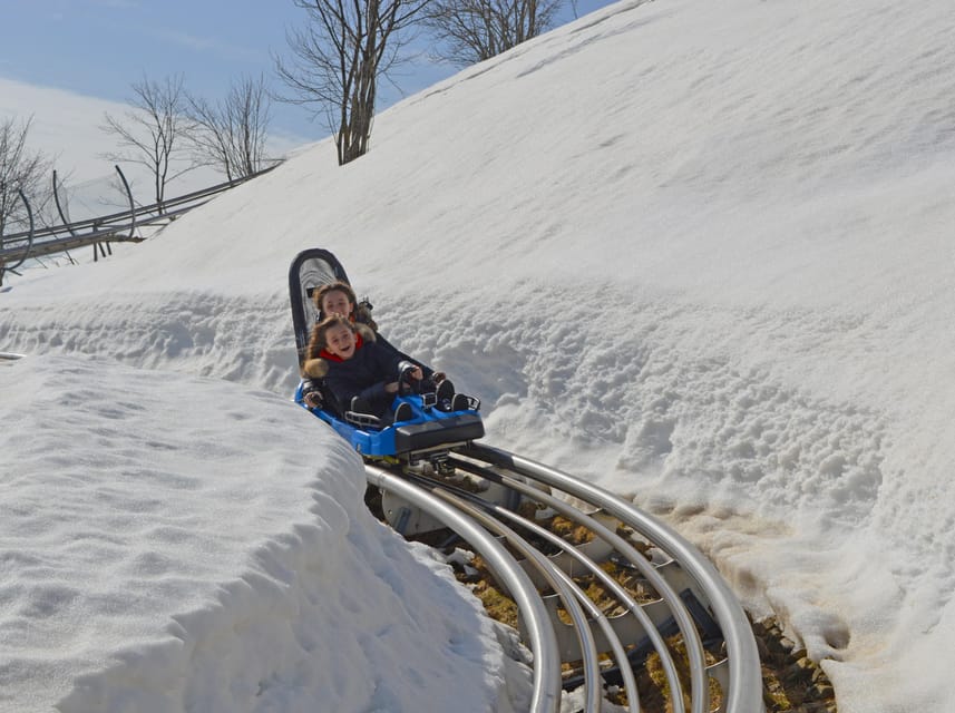 Stresa: Alpyland Alpine Coaster Ride on Mount Mottarone - Key points to know before you ride
