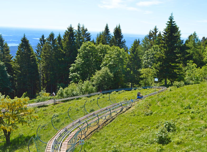 Stresa: Alpyland Alpine Coaster Ride on Mount Mottarone - Who this ride fits best (and who should skip it)