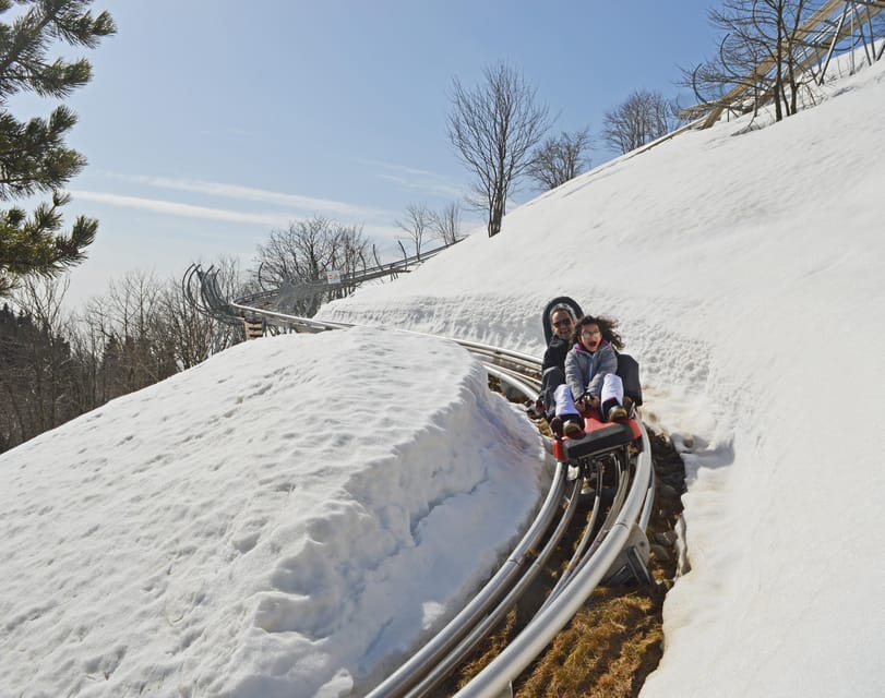 Stresa: Alpyland Alpine Coaster Ride on Mount Mottarone - How the sled speed control works on the 1200-meter track