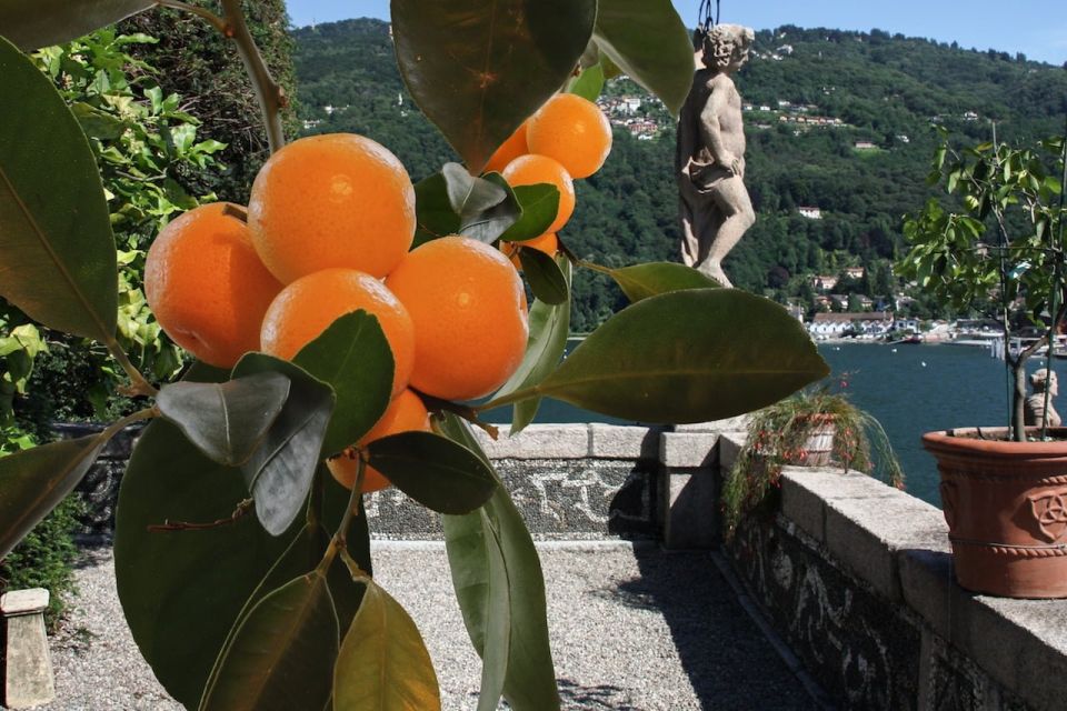 Stresa: Isola Bella Hop-on Hop-off Boat Tour - The return to Stresa: what to do with your extra time