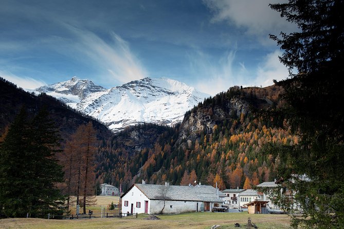 Swiss Alps Bernina Red Train and St.Moritz Tour from Milan - Coach to St. Moritz: how the scenery changes on the way