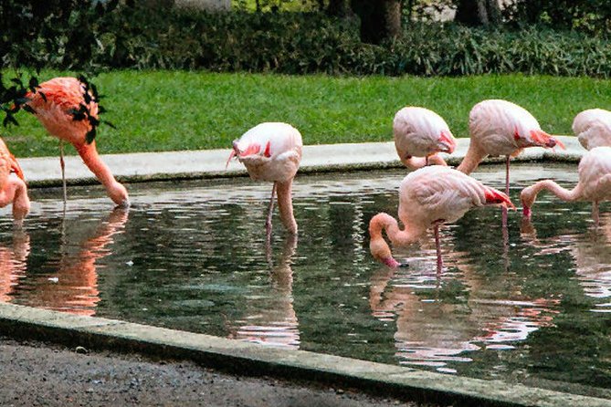 The Secret Milan – An Exclusive Stroll Beyond the Beaten Path - A secret Milan route that actually makes sense